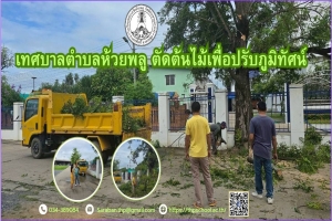 ทีมงานกองช่าง ทีมงานป้องกันและบรรเทาสาธารณภัย มาตัดต้นไม้ เพื่อเป็นการปรับภูมิทัศน์ให้กับโรงเรียน 